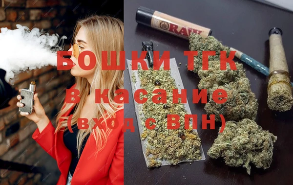 прущие грибы Магадан