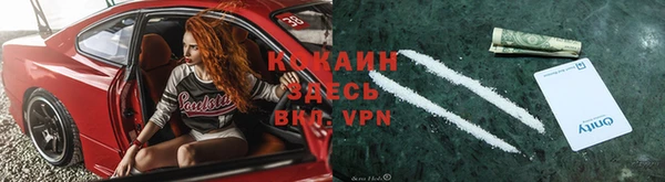 прущие грибы Майский