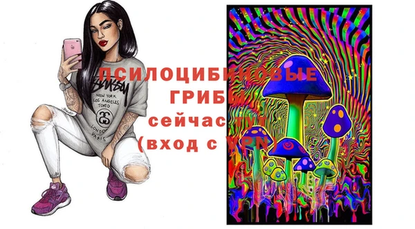 прущие грибы Майский