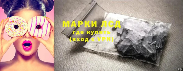прущие грибы Магадан