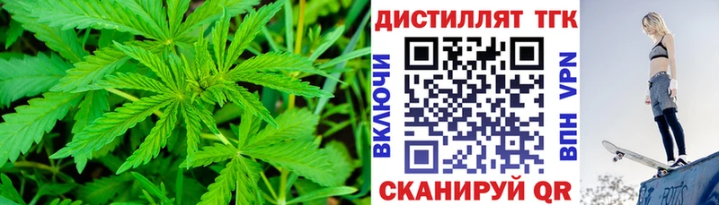 ТГК THC oil  Тбилисская 
