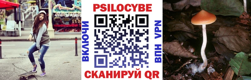 Псилоцибиновые грибы ЛСД  Тбилисская 